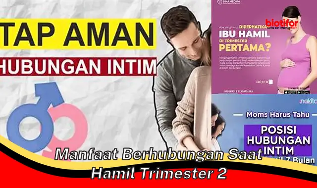 manfaat berhubungan saat hamil trimester 2