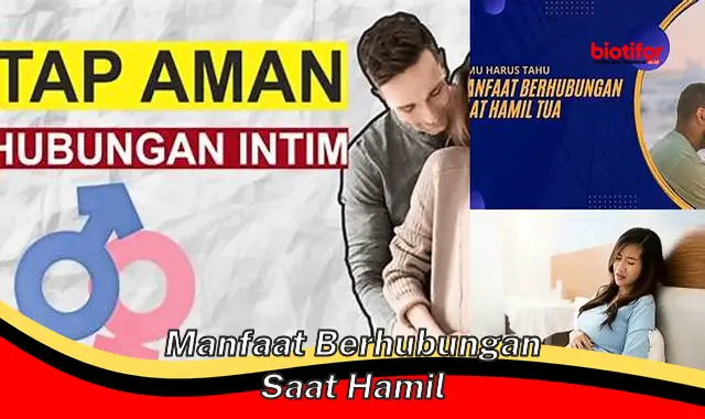 manfaat berhubungan saat hamil