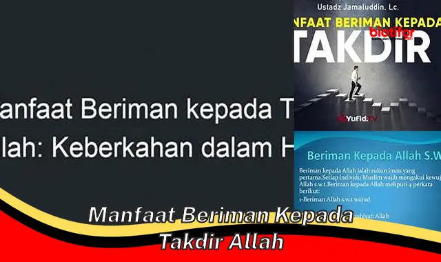 manfaat beriman kepada takdir allah