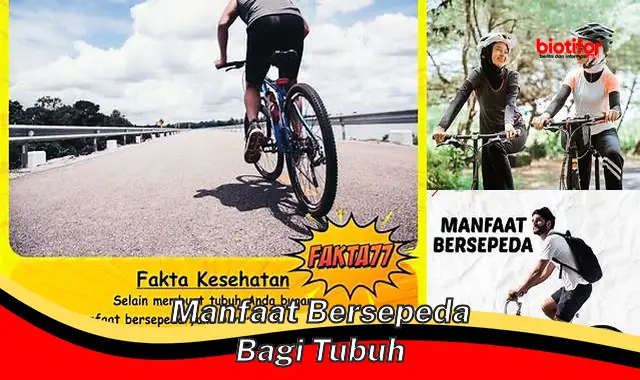 manfaat bersepeda bagi tubuh