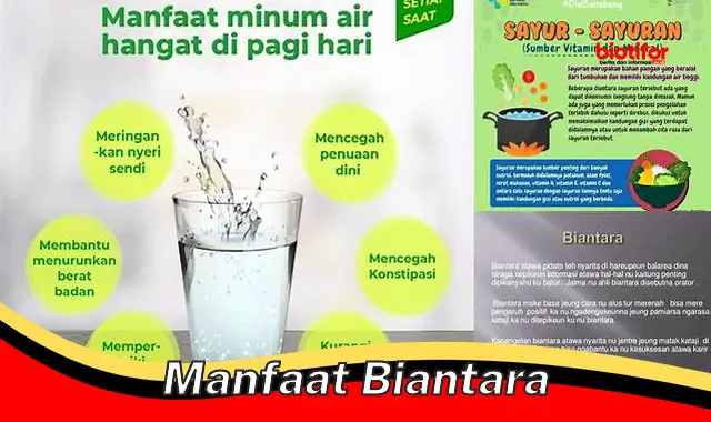 manfaat biantara