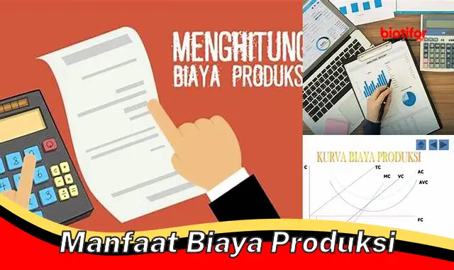 manfaat biaya produksi