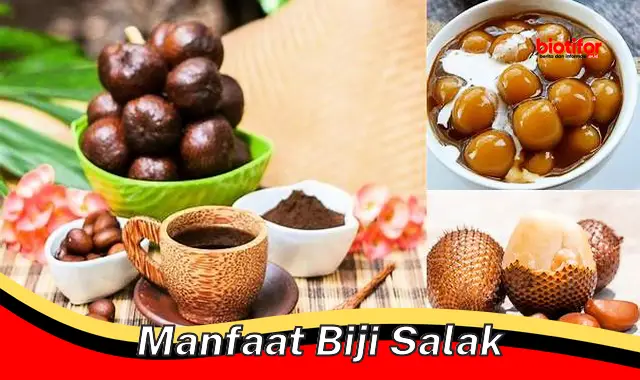 5 Manfaat Biji Salak yang Jarang Diketahui