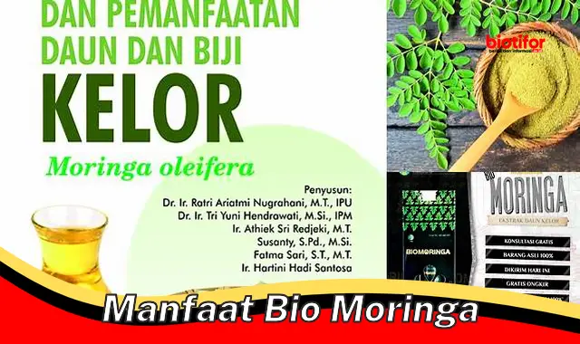 manfaat bio moringa