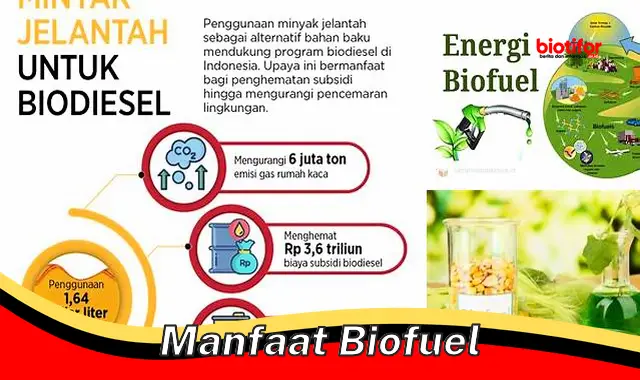 manfaat biofuel