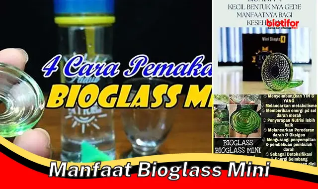 Temukan 5 Manfaat Bioglass Mini yang Jarang Diketahui