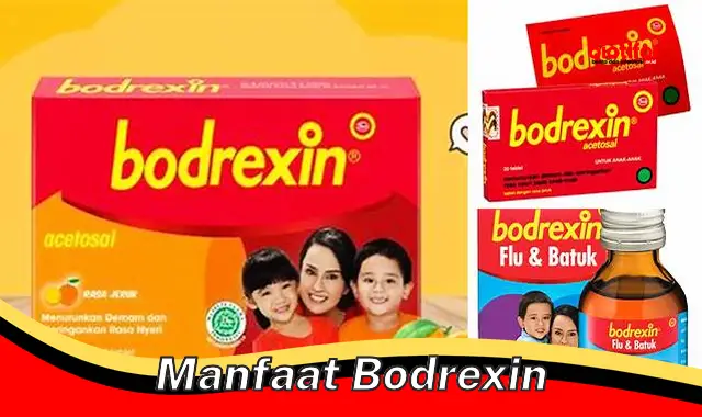 manfaat bodrexin