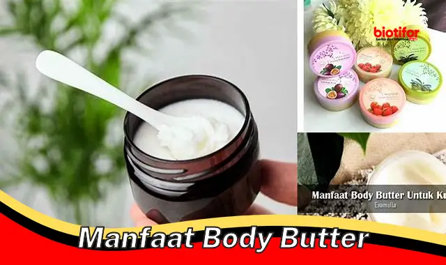 manfaat body butter