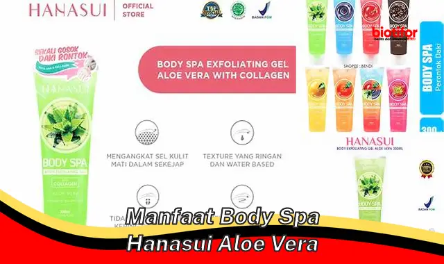 manfaat body spa hanasui aloe vera