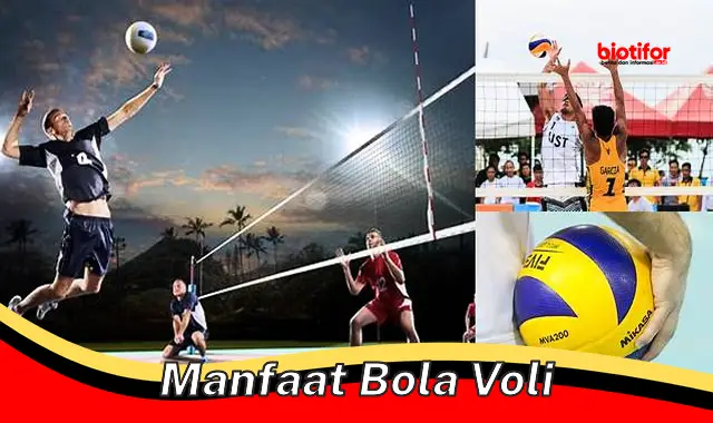 Temukan Manfaat Bola Voli yang Perlu Kamu Tahu