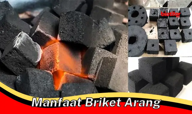 Temukan Manfaat Briket Arang yang Jarang Diketahui