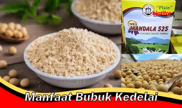 5 Manfaat Bubuk Kedelai yang Jarang Diketahui