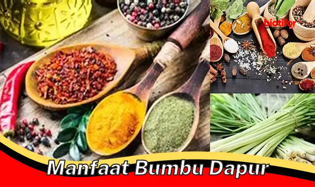 manfaat bumbu dapur