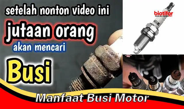 manfaat busi motor