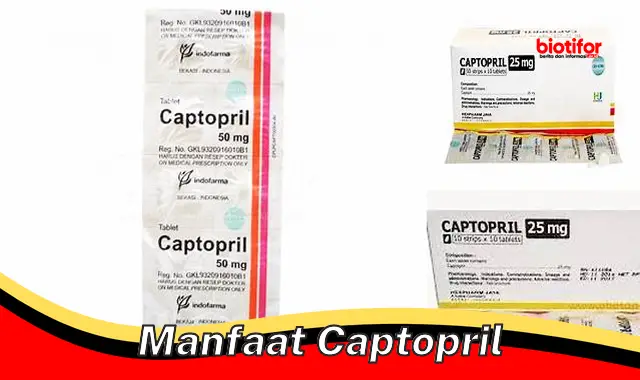 manfaat captopril