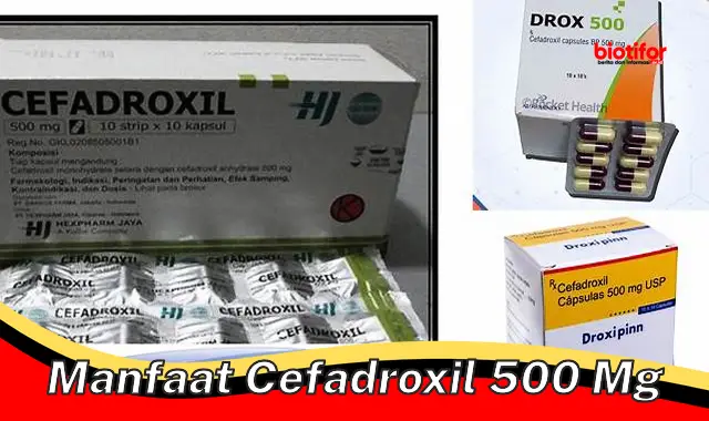 5 Manfaat Cefadroxil 500 mg yang Perlu Anda Tahu