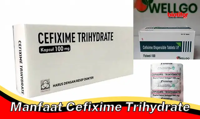 Temukan Manfaat Cefixime Trihydrate yang Jarang Diketahui