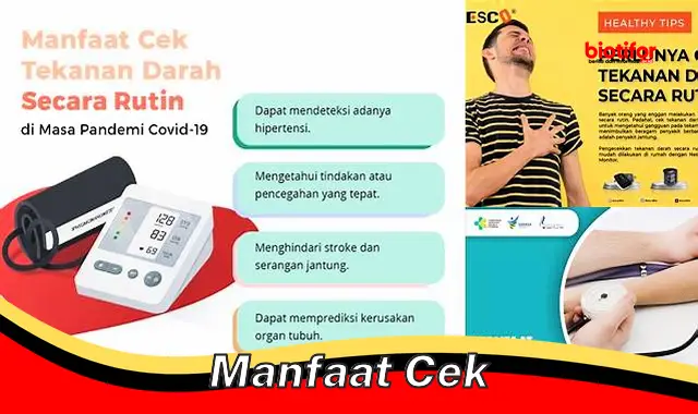 manfaat cek