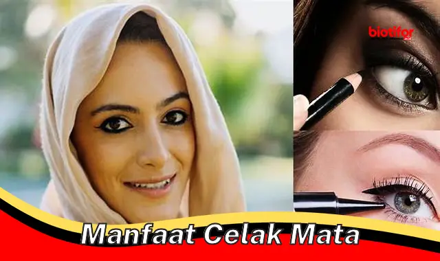 manfaat celak mata