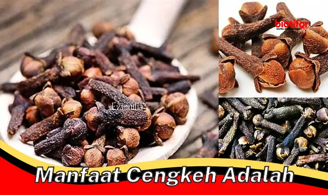 Temukan Manfaat Cengkeh yang Jarang Diketahui