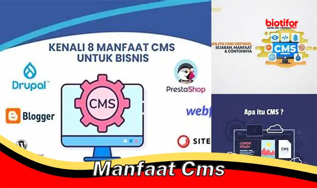 manfaat cms