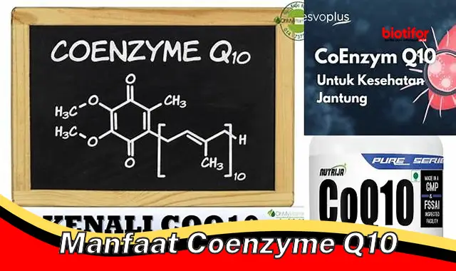 Temukan Manfaat Coenzyme Q10 yang Jarang Diketahui