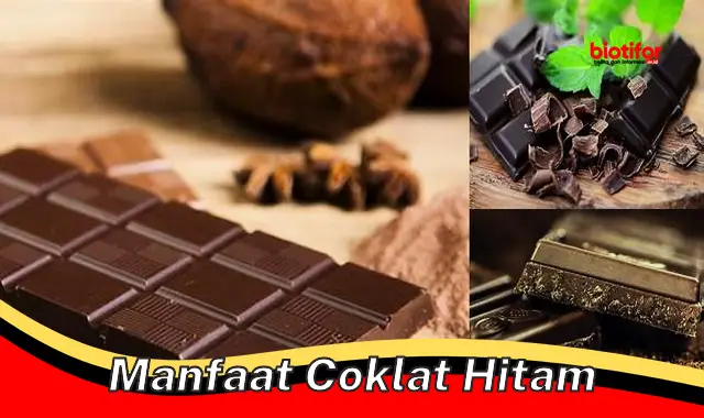 manfaat coklat hitam