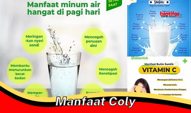 manfaat coly