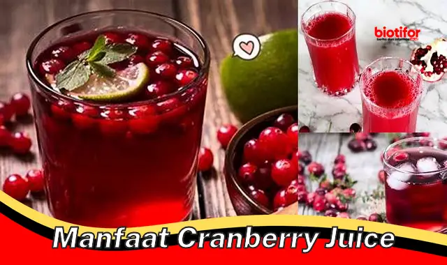 manfaat cranberry juice