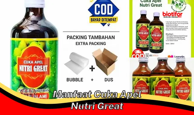 manfaat cuka apel nutri great