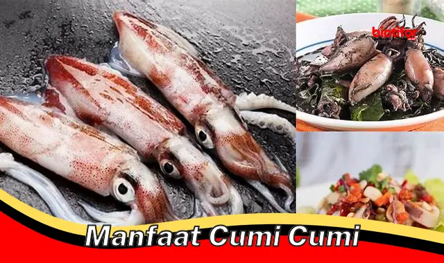 manfaat cumi cumi