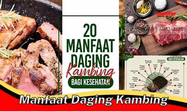 manfaat daging kambing