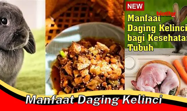 5 Manfaat Daging Kelinci yang Jarang Diketahui