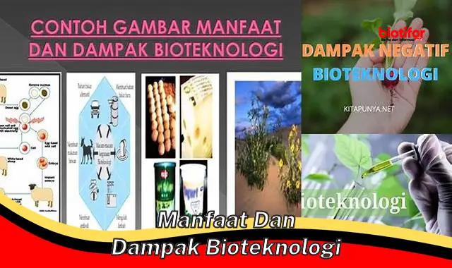 manfaat dan dampak bioteknologi