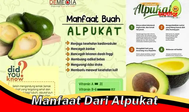 manfaat dari alpukat