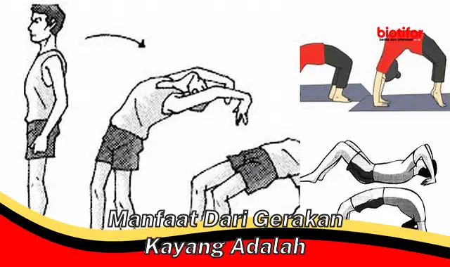 manfaat dari gerakan kayang adalah