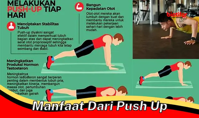 manfaat dari push up