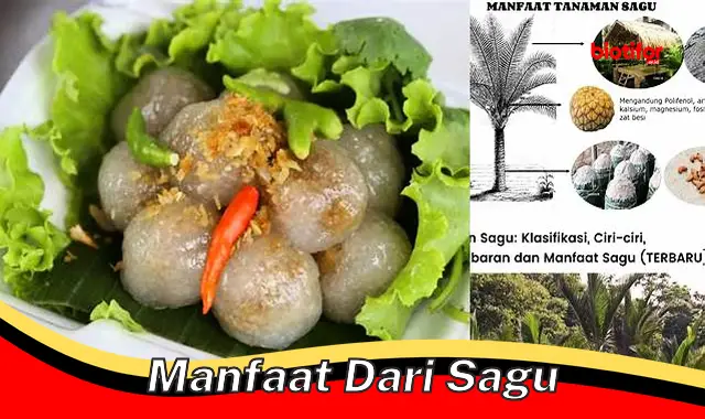 Temukan Manfaat Sagu yang Jarang Diketahui