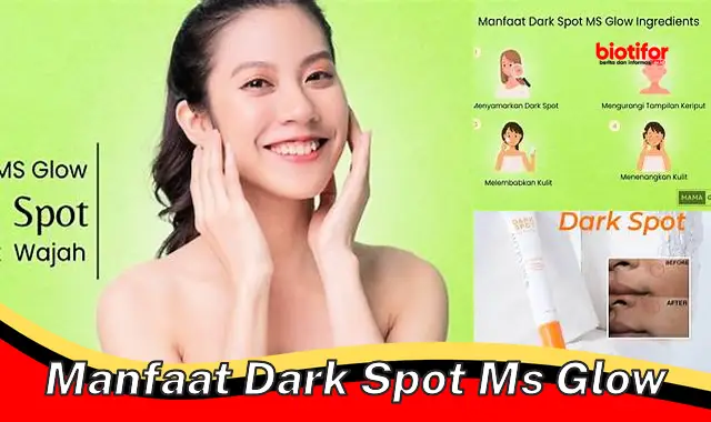 manfaat dark spot ms glow
