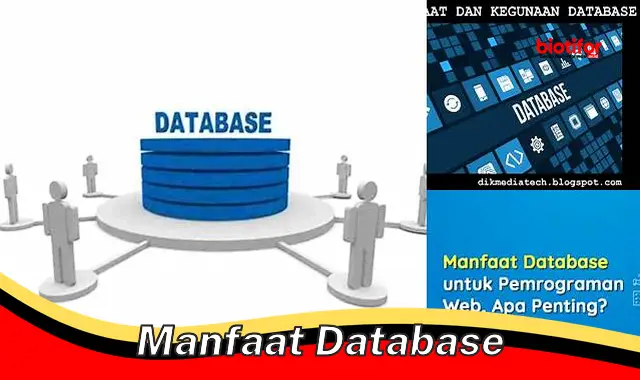 manfaat database