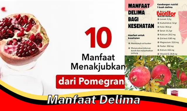 manfaat delima