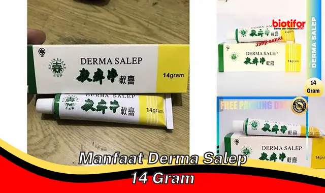 manfaat derma salep 14 gram