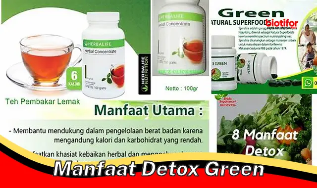 Temukan 4 Manfaat Detox Green yang Jarang Diketahui