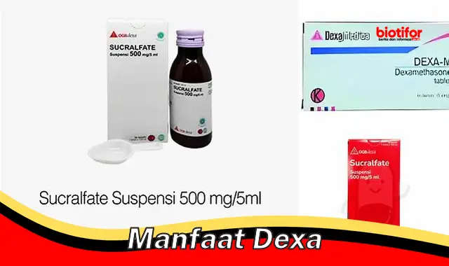 manfaat dexa