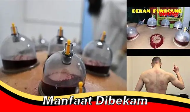 manfaat dibekam