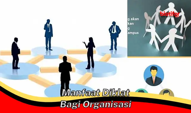 manfaat diklat bagi organisasi