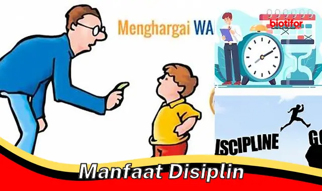 manfaat disiplin