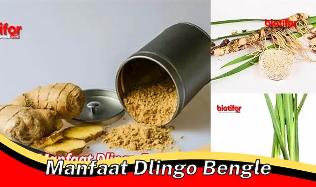 Ungkap Rahasia Manfaat Dlingo Bengle yang Jarang Diketahui