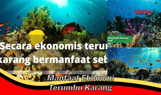 manfaat ekonomi terumbu karang