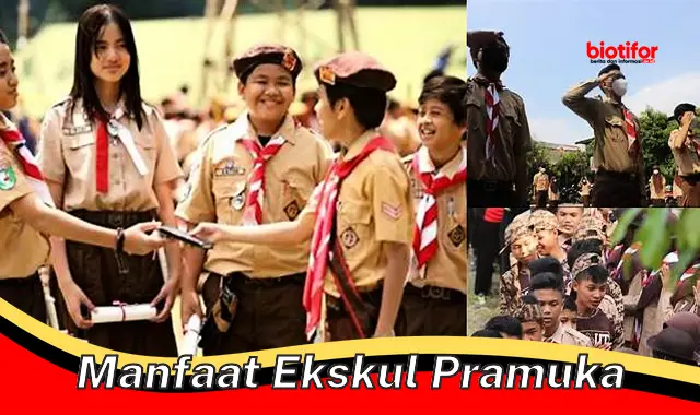 Temukan Manfaat Ekskul Pramuka yang Jarang Diketahui